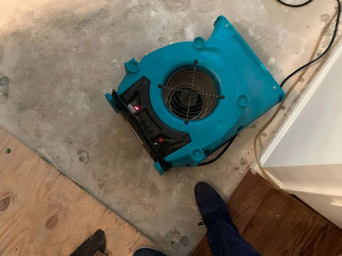 Air mover drying subfloor during Leak Detection & Repair in Burke
